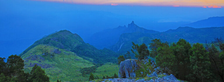 kodanad tour package