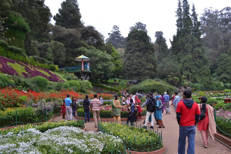 jesus travels ooty sightseeing
