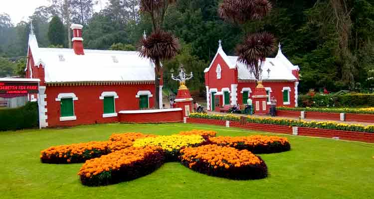 ooty tour package
