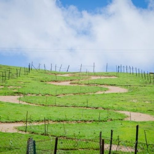 20200321064324_1584773004