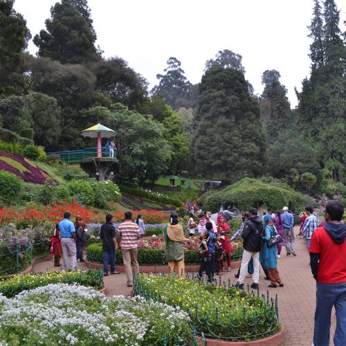 jesus travels ooty sightseeing