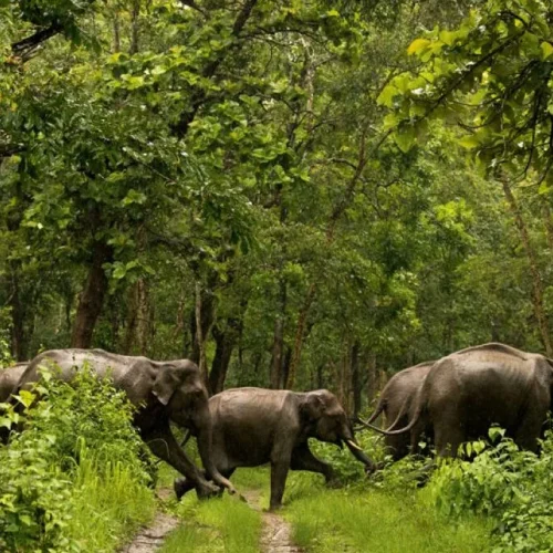 L2R4856-1366x768-ezgif.com-jpg-to-webp-converter