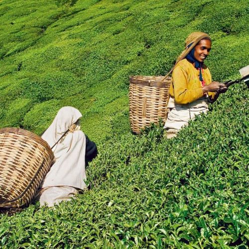 Nat-Geo-Traveller-India-1