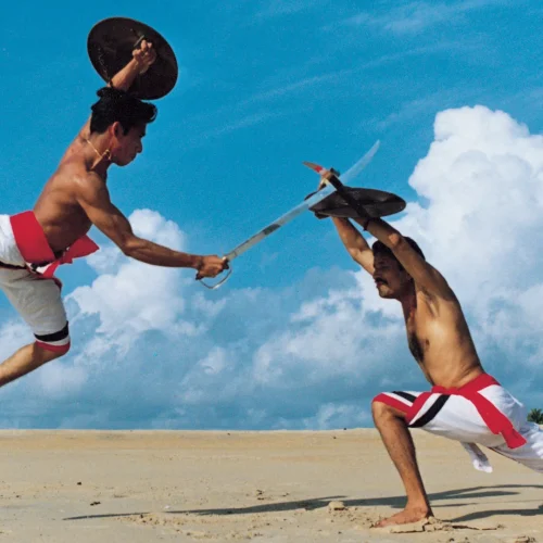 kalaripayattu20131111114353_27_1.jpg