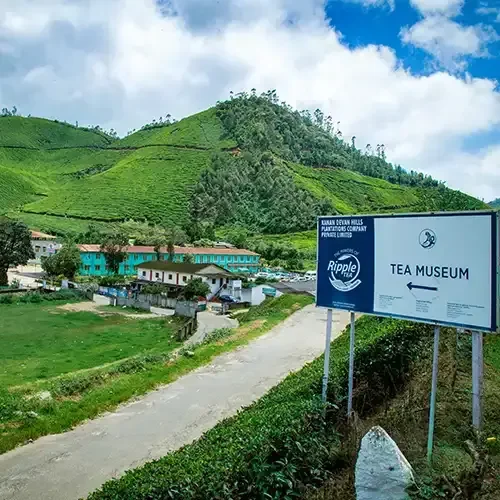 munnar-tea-museum-1724427597_f346d8f16cc7beb7e436