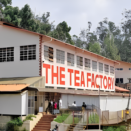 ooty-tea-estate-tea-factory